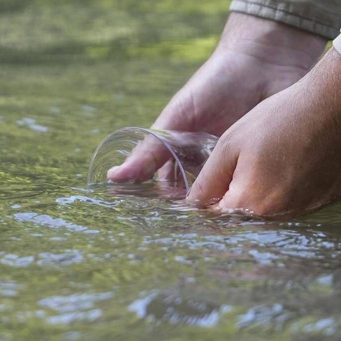In Mississippi, a tiny fish is reintroduced to the river where it disappeared 50 years ago